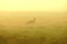 Fuchs04,Struth`05.webp