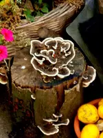 SDC15122.webp SDC15122.webp