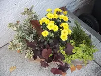DSCF2634.webp