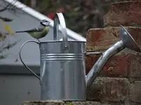Gießkanne.webp