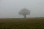 2012_1114Herbst0004 nebel.JPG