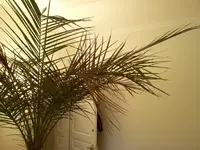 20121115_153916.webp
