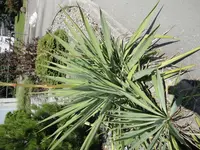 DSC01165.webp
