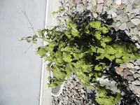 DSC01169.webp