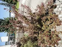 DSC01167.webp