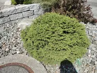 DSC01166.webp