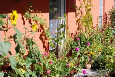 DSC_9046.2.webp