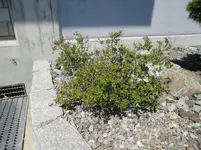 DSC01161.webp