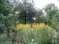 DSCF0002.webp