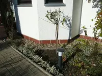 Lampe3~1.webp