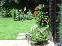 Neuer Rasen 018.webp