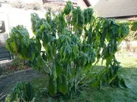 ET3.22.10.2012~1.webp