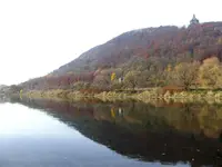 in der Weseraue.webp