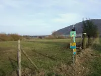Weserradweg.webp