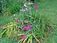 Copy of IMG_4610v.webp
