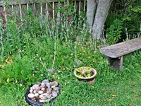 Copy of IMG_4612v.webp