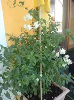 2012-07-18 14.02.10.webp