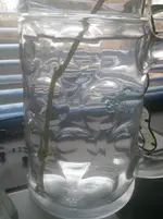 2012-11-18 13.45.11.webp
