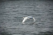 IMG_9614.webp