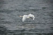 IMG_9610.webp