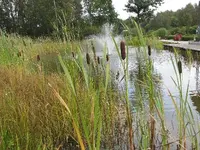 Bild 117.webp