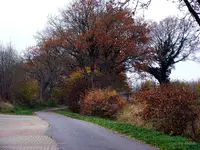 _Herbst 15.11.2012.webp