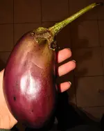 eggplant_sfx_f2_0.webp