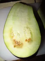 eggplant_sfx_f2_3.webp