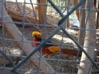 DSC01720.webp