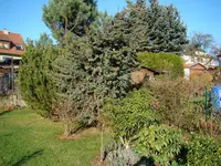 Oberkante Rhodo-Quartier und Hintergrund.webp