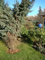 Hinter dem Rhodo-Quartier.webp