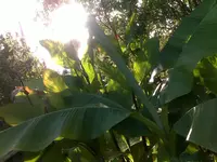 071020121421.webp