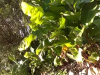 071020121424.webp