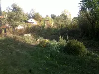 071020121415.webp