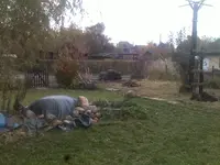 101120121478.webp