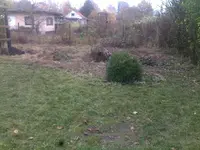 101120121481.webp