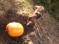 271020121449.webp