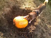 271020121451.webp