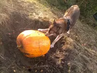 271020121453.webp
