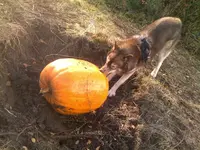 271020121454.webp