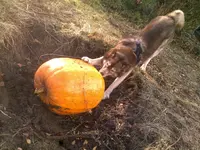 271020121456.webp