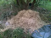 031120121468.webp