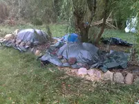 031120121474.webp