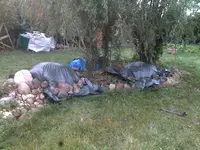 031120121475.webp