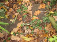 IMG_4888.webp