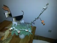 20121120_184735.webp