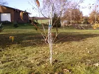 7Söhne2Nov12.webp