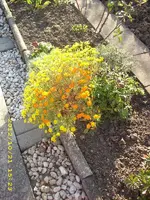 JD500856.webp