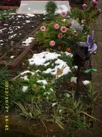 JD500881.webp