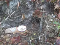 BILD1886.webp